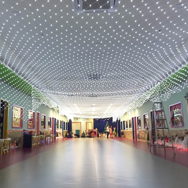 Sikker Spænding Net Julelys Vandtætte Udendørs Indendørs 320LED'er 3M*2M (10ft*6.6ft) Multi Farver, 8 Modes