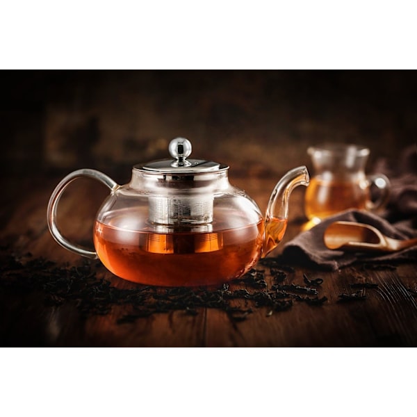 Glastekande med rustfrit stål infuser & låg, Borosilikatglas tekande, der er sikker til komfur, blomstrende & løse teblade tekander, 800 ml