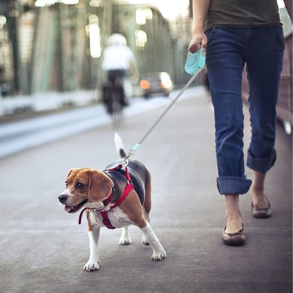 Infällbart hundkoppel, halkfri längd ca 5 meter natt