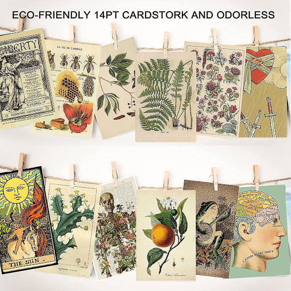 Vintage Botanical Illustration Tarot Collage -setti - 50 kpl Pieniä Julisteita