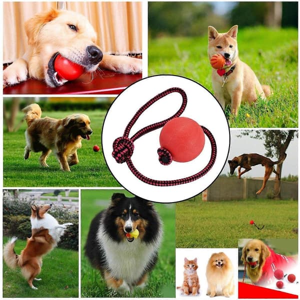 Hundleksaksboll | Hundboll med snöre | 3-pack hundleksaksbollar
