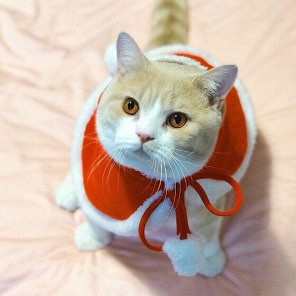 Hundkläder för Jul Katt Jul Semesterdräkt Röd Julkapp Huvad Kappa Vinter Ytterkläder M