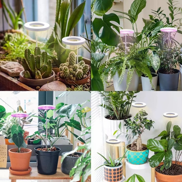 1 st Växtlampa Inomhus Fullspektrum, Inomhus Imitations Sollampa Lämplig För Inomhusväxter Suckulenter Blommor Idealisk För Små Växter black