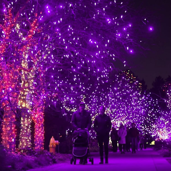 Lilla og oransje Halloween-lys. 33 fot 100 LED Plug In Vanntette Lyslenker med 8 moduser