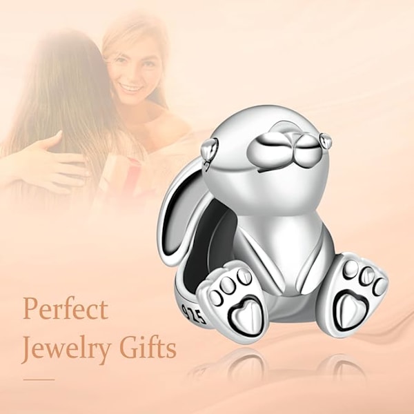Sterling Sølv Cubic Zirconia Charms Vedhæng til Armbånd
