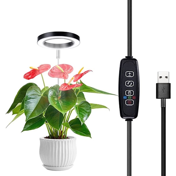 1 st Växtlampa Inomhus Fullspektrum, Inomhus Imitations Sollampa Lämplig För Inomhusväxter Suckulenter Blommor Idealisk För Små Växter black