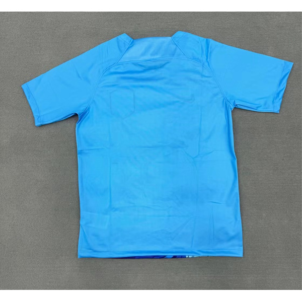 Nederländerna Special Edition Jersey Fotbollströja S-2XL M