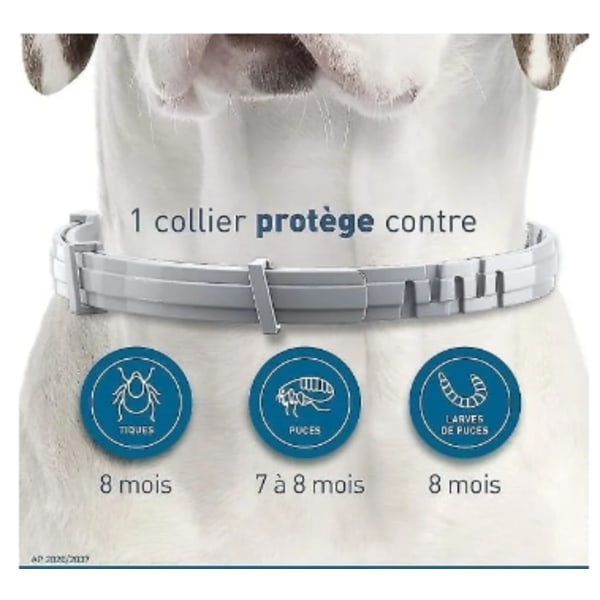 2st Little Dog Cat Halsband för att förhindra loppor fästingar 38cm-Under 8kg Grey 38cm