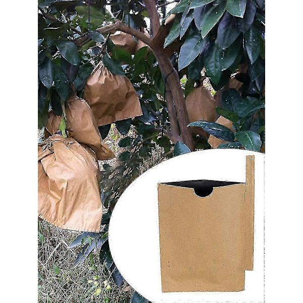 100-pack Fruktskyddspåsar Pappersmassa Trädgårdsväxt Fruktskyddspåsar 180*220mm