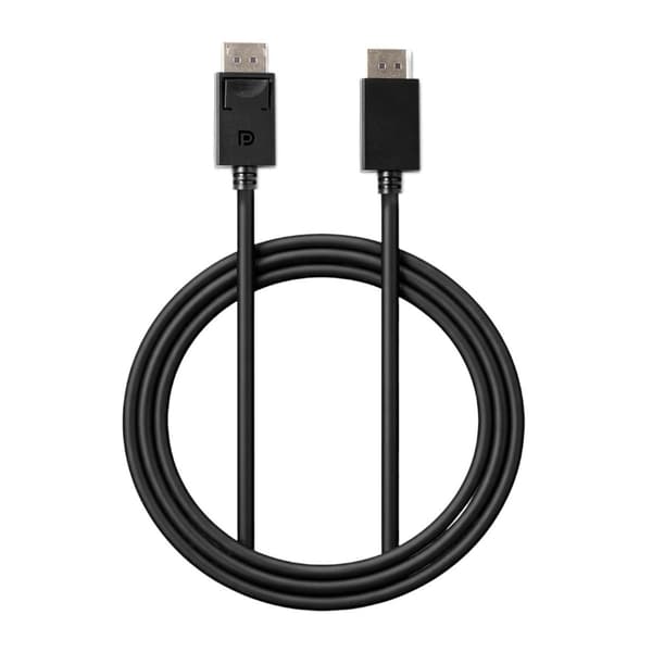 Rvelon DP80 DisplayPort to DisplayPort Cable - 1 meter