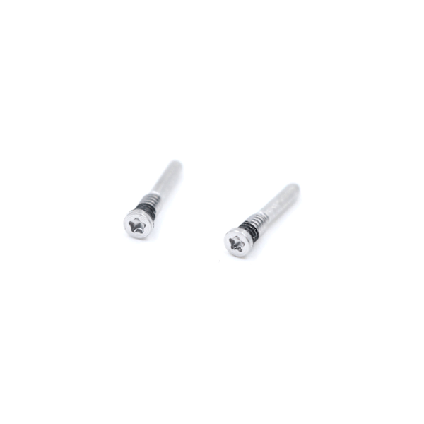iPhone X/XS/XR/XS Max Bottenskruvar - Silver