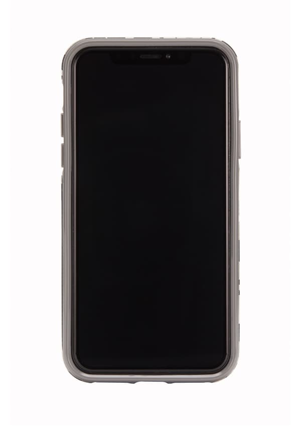 Richmond Finch Case Platinum Stripes for iPhone X and XS