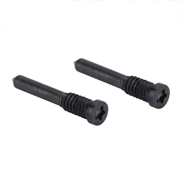 iPhone 12 Botton Screws (2 pcs) - Black