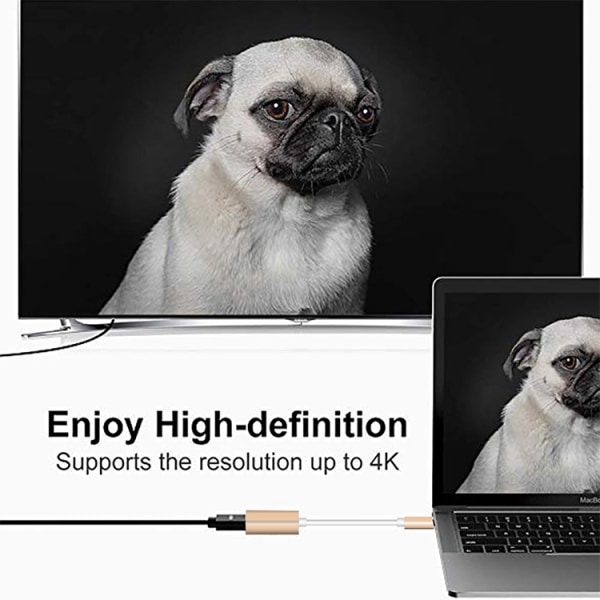 Adapter USB-C till Mini DisplayPort 12cm - Silver