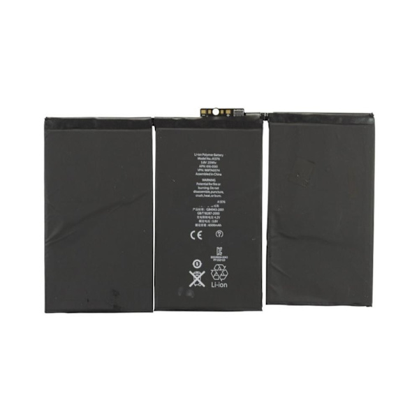 iPad 2 Battery