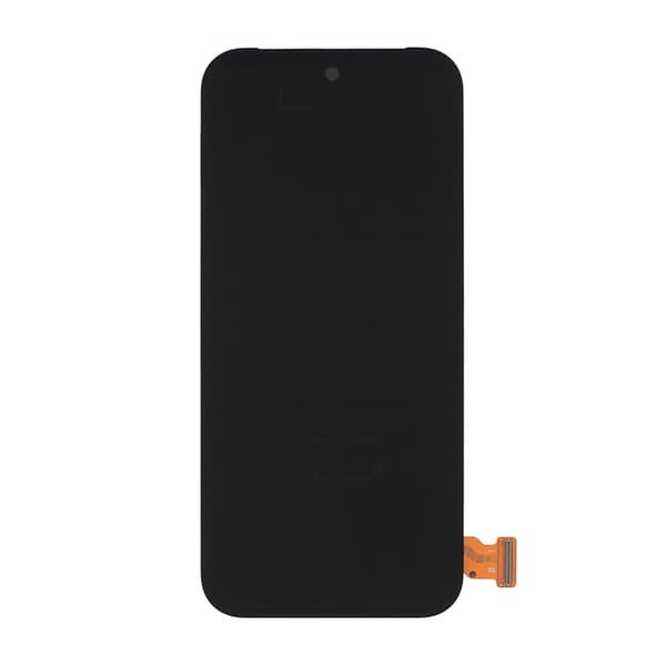 Google Pixel 9 Pro Display