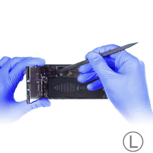 AMMEX disposable gloves 10pcs