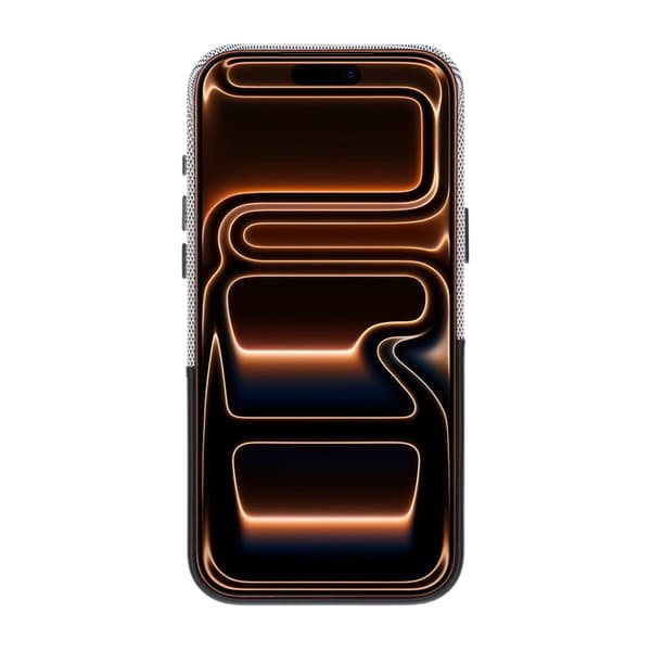 Dual-Tone Leather Card Holder Magnetic Phone Case For iPhone 17 Pro Max/18 Pro Max Black