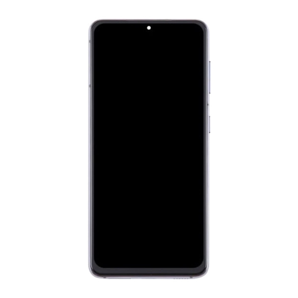 Begagnad Samsung Galaxy S21 LCD B Quality
