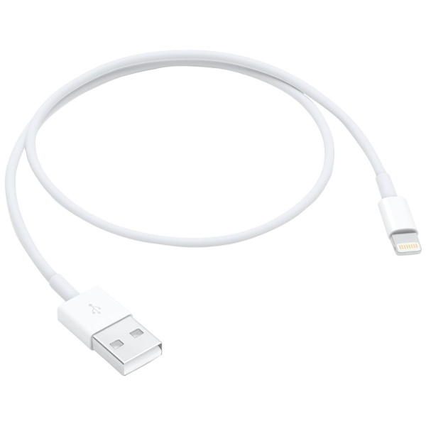 Apple Lightning to USB cable 0.5m
