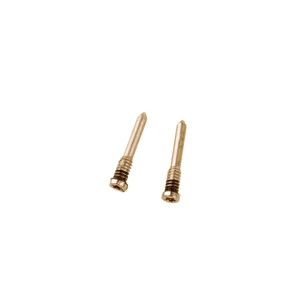 iPhone XS and XR and XS Max Bottom Screws 2pcs - Gold