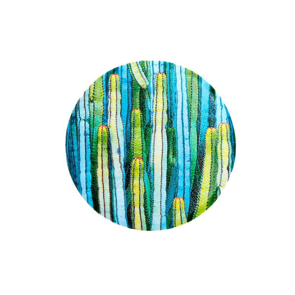 PopSocket Hållare / Ställ - Cactus Patch