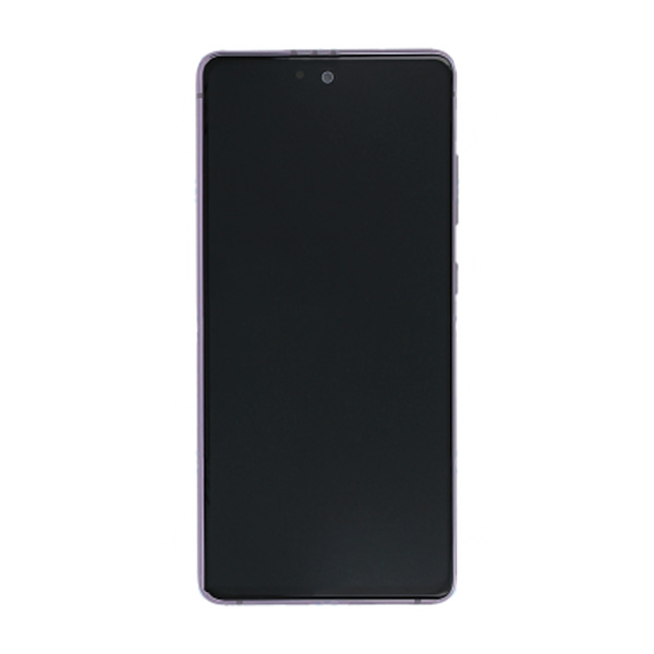 Samsung Galaxy S20 FE Skärm med LCD Display Original - Orange