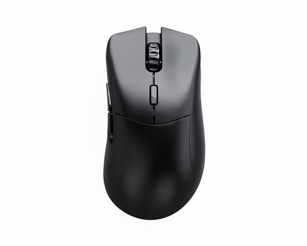 Glorious Model D 2 Wireless Data Mus - Svart - Original Svart