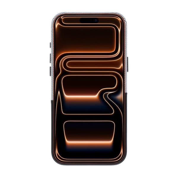 Dual-Tone Leather Card Holder Magnetic Phone Case For iPhone 17 Pro/18 Pro Black