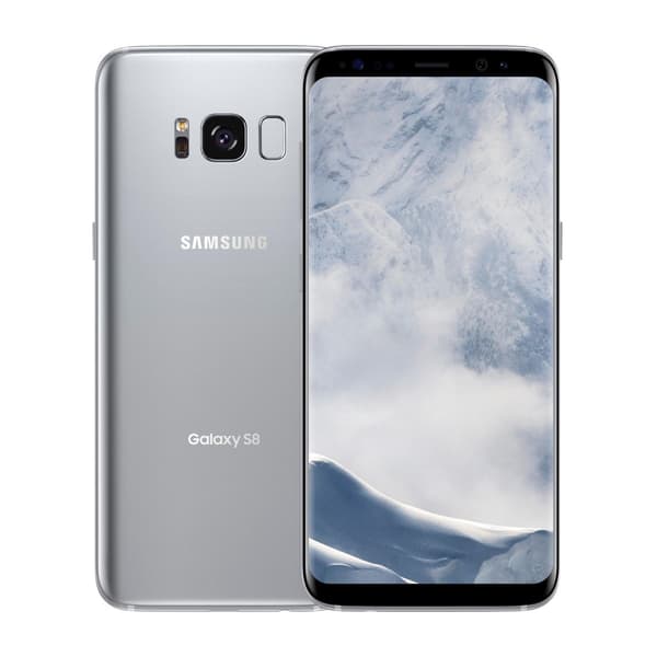 Begagnad Samsung Galaxy S8 64GB Silver - Bra skick B