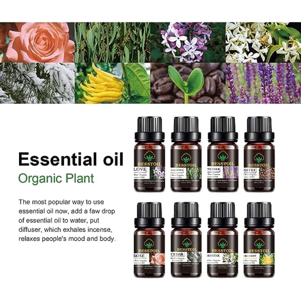 Ekologisk aromaterapi eterisk olja Set 8 flaskor för alla oljespridare, 10 ml