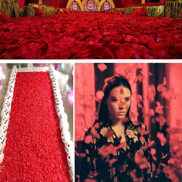 Rosenblad, 1000 stycken Romantiska rosenblad, Bröllopsdekoration Sovrum Lila