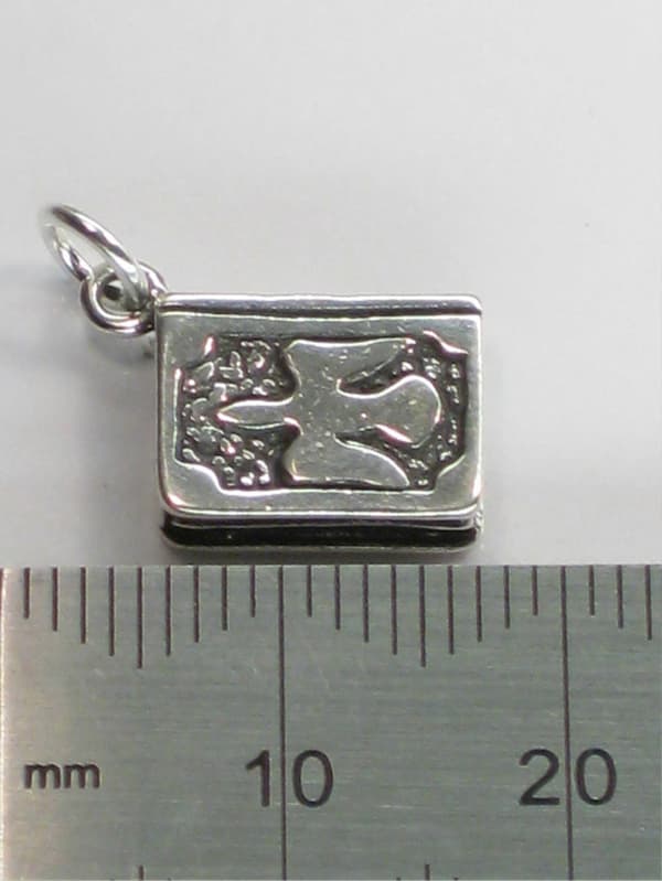 Bibel berlock i sterlingsilver .925 x 1 Biblar och heliga böcker berlocker
