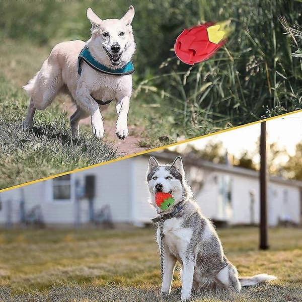 Hundleksak Tandrengöring, Tuggleksak för Hundar, Tandvårdsleksak för Hundar