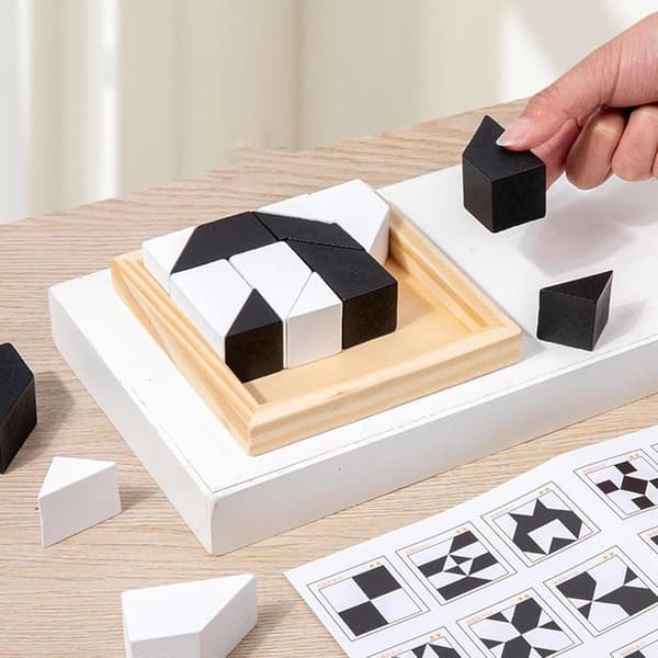 Puzzle Blocks Toy, Educational Toys Pattern Blocks Hidden Block Puzzles, for Developing Thinking Ability, Brain Teaser Challenge Puzzle Blocks