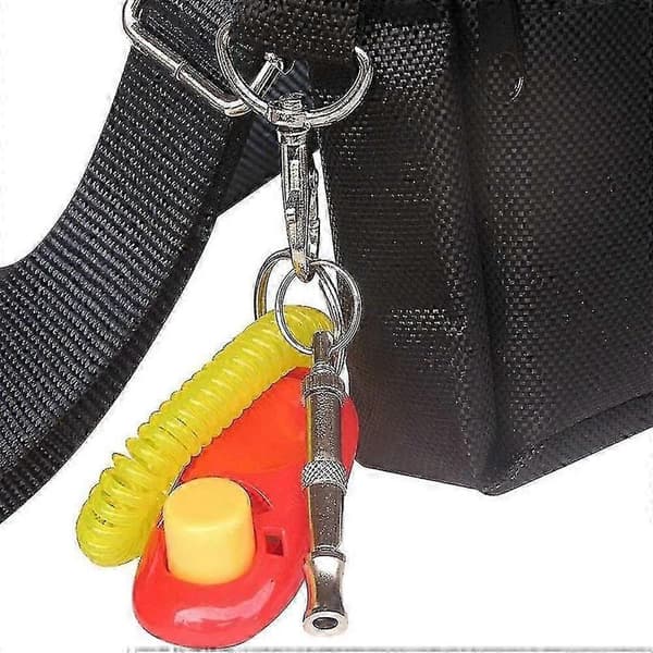 Professionell ultraljuds högfrekvent hundvissla (2-pack) Silver