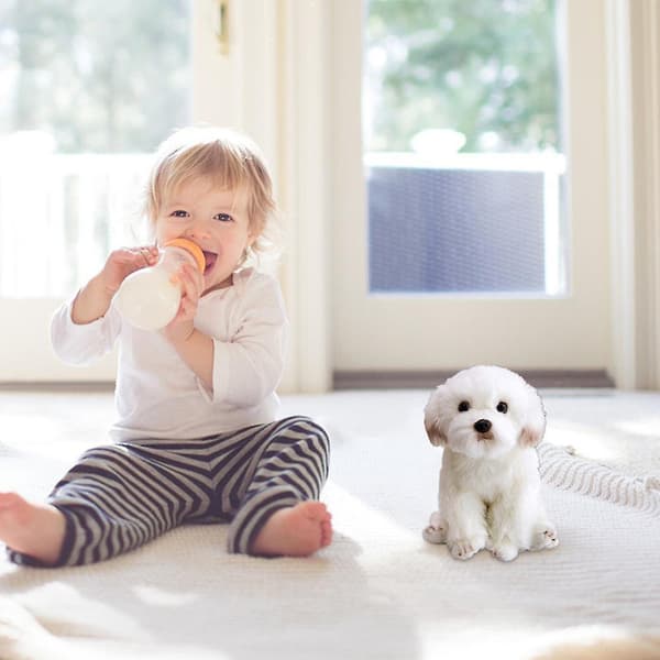 Bichon Frise Plyslegetøj Hvalp Kæledyrshund Sød Simulation Kæledyr Fluffy