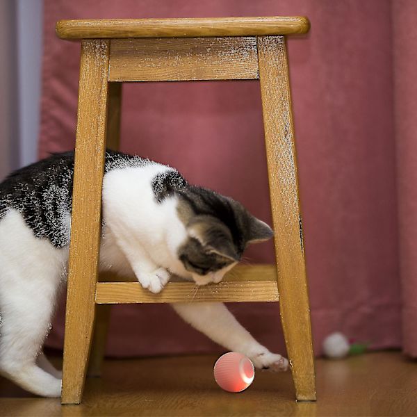 Interaktiv Smart Katt Leksak Automatisk Rullande Kattboll Självkörande Kattunge Leksaker green