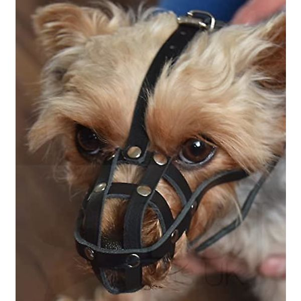 Let Læder Hundekobbel Til Chihuahua Yorkshire Terrier Mini Pitcher & Andre Små Hunde (Naturligt Læder, 00) Leather
