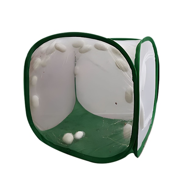 Foldbar Insektbur Lett Meshnett Insektbur For Jordbruksarbeider Hageentusiast Gave hg White Green M