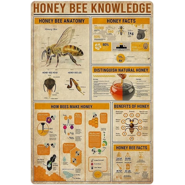 Honey Bee Knowledge Metal Blikskilt Anatomi Hvordan bier laver honning Retro Plakatvæg Art Deco Farm Home Køkken Klub Plaque 8x12 Tommer