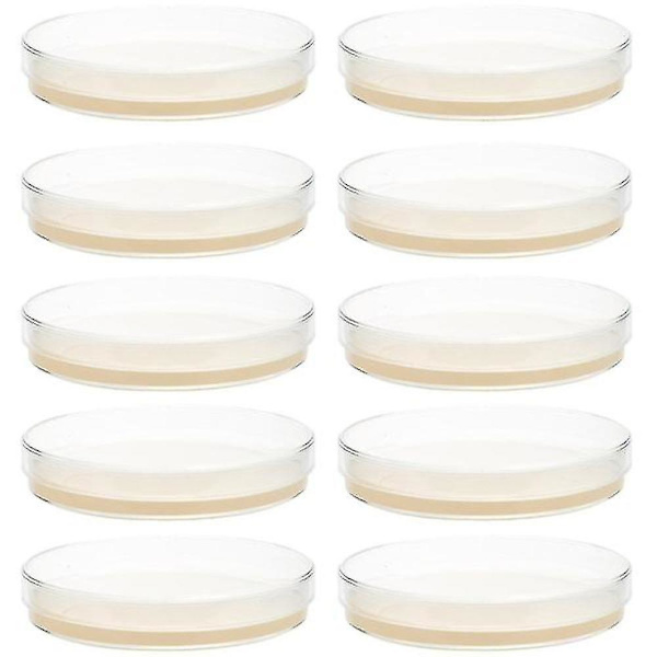 10 stk. Forhældte Agar plader Petriskåle med Agar Science Experiment Supplies -ES