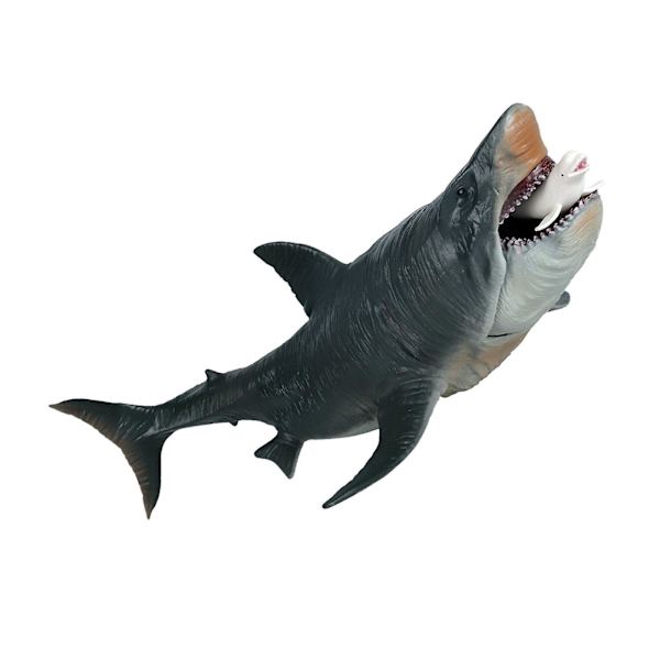 Malerisk Hajfigur Megalodon Model Dyr Til Tidlig Læring Legetøj