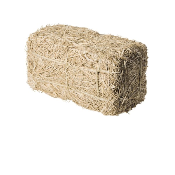 Halmbalsprydnad 25 cm