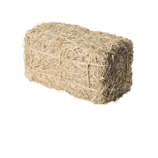 Straw bale decoration 25 cm