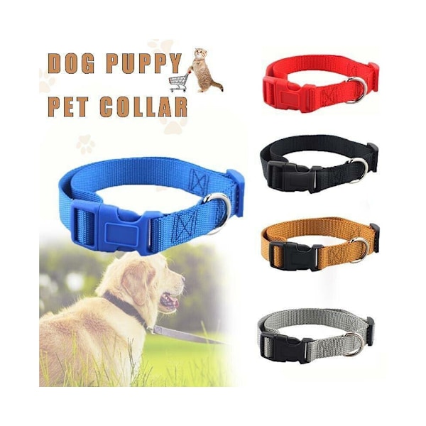 XS Storlek Hund Valp Husdjur Halsband Justerbar Nylon Leksak Rosa Blå Röd Svart Svart