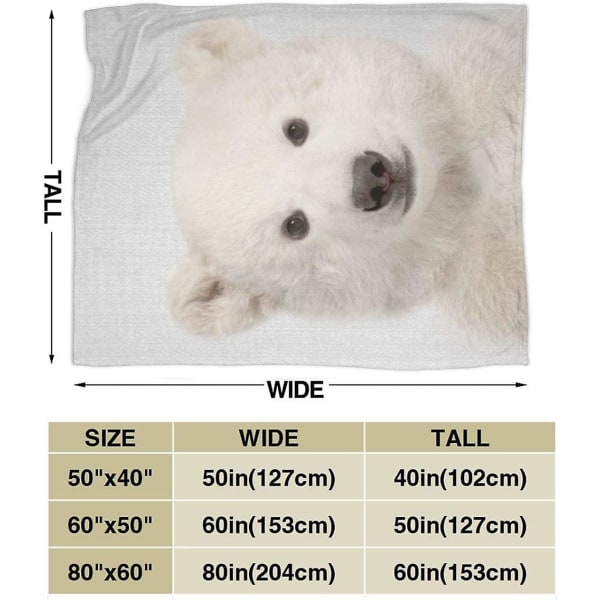 Färgglad Polarbjörn Plyschfilt Mjuk Flanell Fleecefilt Kompatibel med Soffa, Säng, Stol, Kontor, Resa, Camping -r295 -ES 60x50in 150x125cm