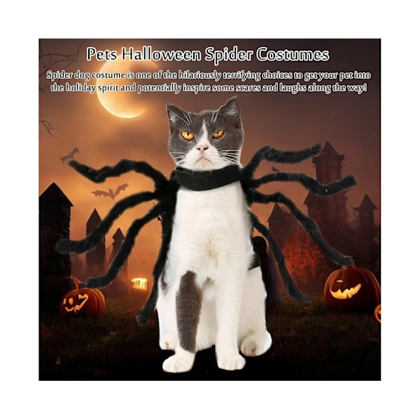 Husdjursdräkt Spindel för Halloween, Stor, för Hundar, Katter och Små Husdjur, Storlek L