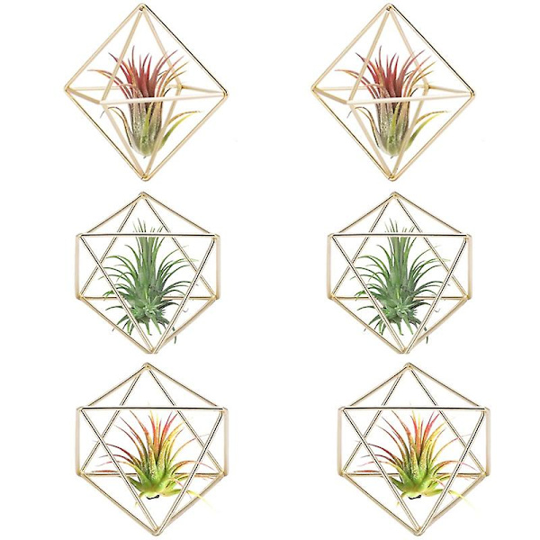 6 st Luftväxtställ Mini Metall Borddekor Modern Geometrisk Planteringsställ Tillandsia Display Stativ Himmel
