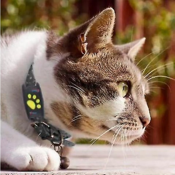 Smart Gps katt- och hundhalsbandsspårare H -ge Yellow